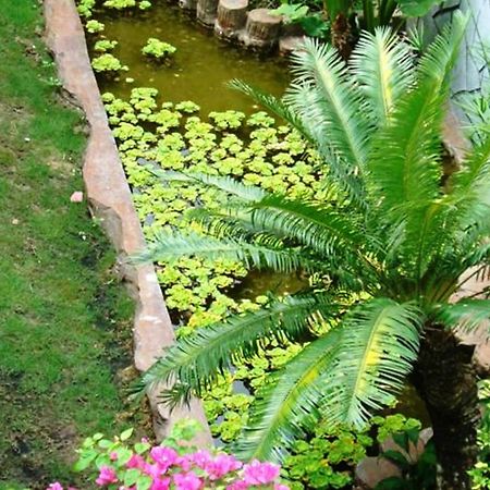 Phu My Hotel Phú Quốc Ngoại thất bức ảnh