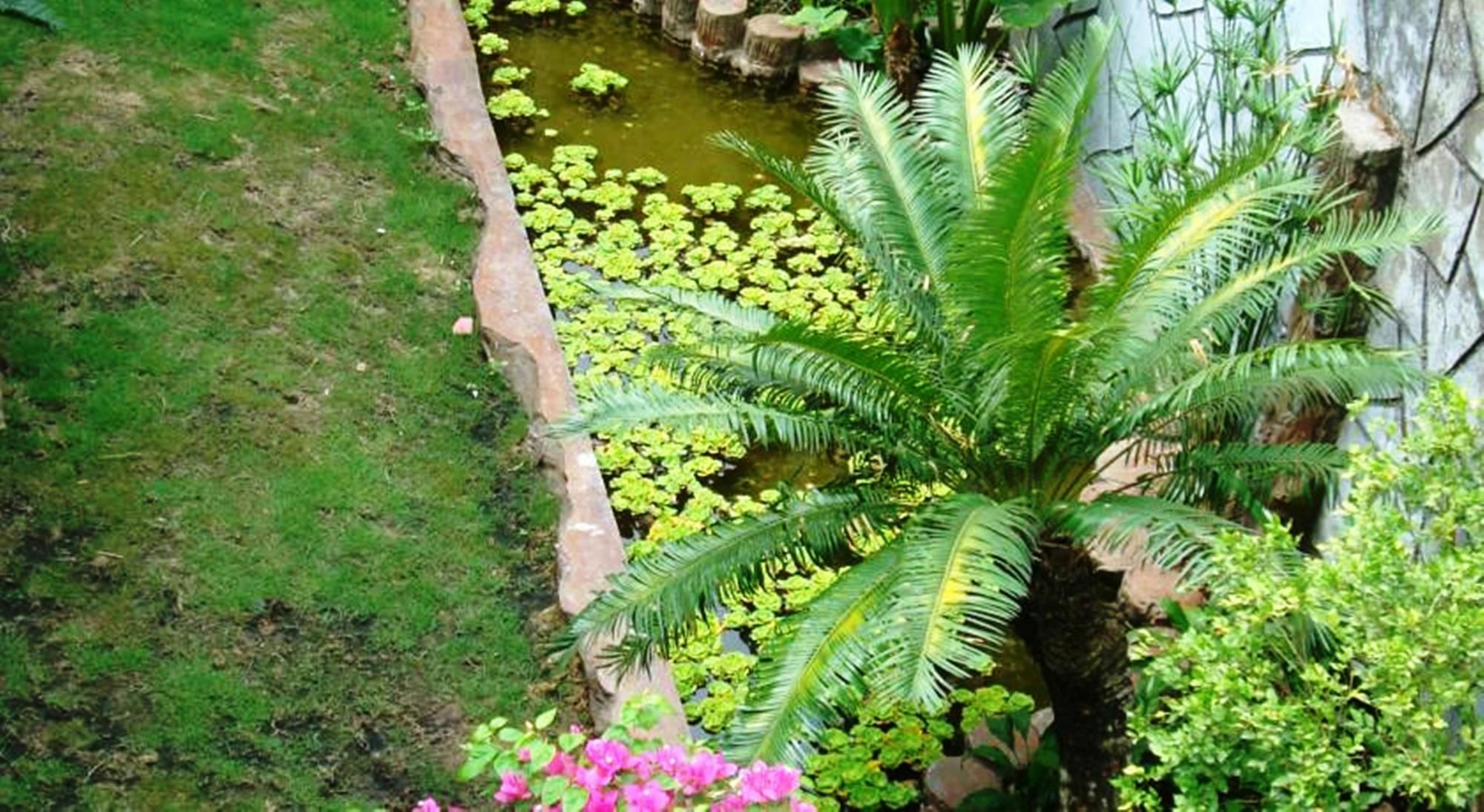 Phu My Hotel Phú Quốc Ngoại thất bức ảnh